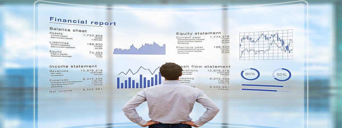 Financial Statements Mauritius